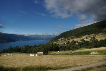 Travel to Norway, yellow fields and green forest on the shores of the blue fjord