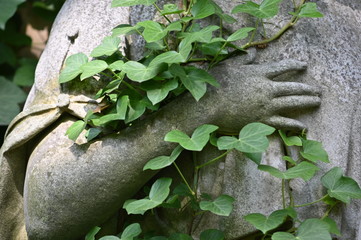 A hand of a sandstone sculpture which is partially covered with ivy.