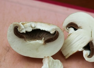 closeup of mushrooms
