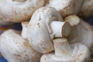 fresh mushrooms on a cutting board
