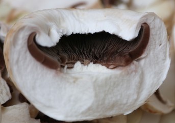 mushroom texture on wooden background