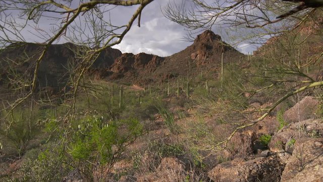 Steady, medium wide shot of red rock mountains and terrain full of brush and cacti.