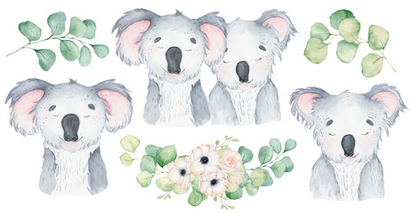 Koala bear cute animal character watercolor illustration