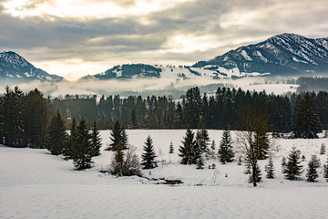 Winter landscape in the mountains