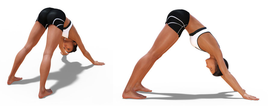 Back Three-quarters and Right Profile Poses of a Woman in Yoga Downward Facing Dog