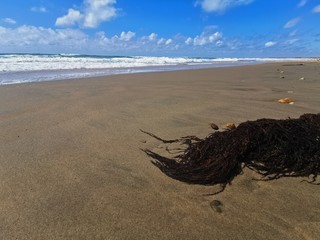 sun beach france surfer wind sand