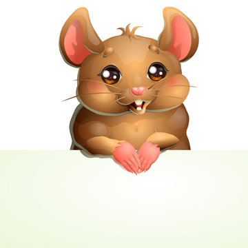 Cute brown mouse and banner on white