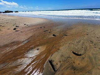 sun beach france surfer wind sand