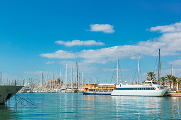 Fototapeta premium tourist ships and small sailing boats in the safe harbor city of Palma de Mallorca against the blue sky