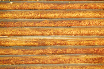 Wooden log wall texture	