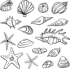 Collection of sea marine ink doodles on white backdrop. Vector stock set. Cute marine icons. Can be used for printed materials. Vacation holiday background. Hand drawn design elements. Festive card. - 275046425