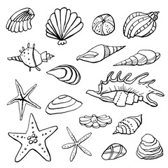 Collection of sea marine ink doodles on white backdrop. Stock set. Cute marine icons. Can be used for printed materials. Vacation holiday background. Hand drawn design elements. Festive card.