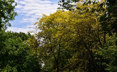 Fototapeta premium Green Impressions from the Goethe Park in Berlin-Wedding on June, 2, 2015, Germany