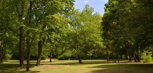 Green Impressions from the Goethe Park in Berlin-Wedding on June, 2, 2015, Germany