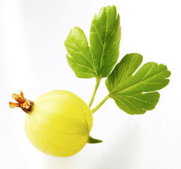fresh quince with green leaves