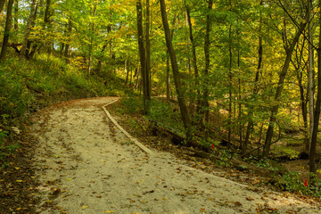 path in forest in autumn