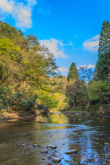 春の養老渓谷の中瀬遊歩道からみた風景