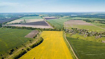 aerial view of green and yellow rapeseed field village on horizon. natural spring summer background. drone shot. Farmland from above