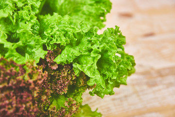 Fototapeta premium Close up of green lettuce. Concept of healthy lifestyle and dieting. Salad background. Copy space
