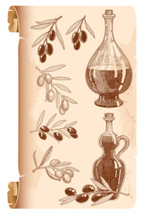 Olive oil bottles and olive branches vintage old style illustration