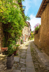 Fototapeta na wymiar Cortona (Italy) - The awesome historical center of the medieval and renaissance city on the hill, Tuscany region, province of Arezzo, during the spring