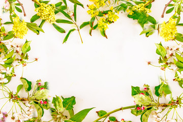 Wildflowers and berries Background frame mockup top view, copy space