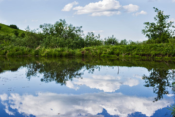 lake in forest