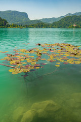 gorgeous Lake Bled in Slovenia at summer time June