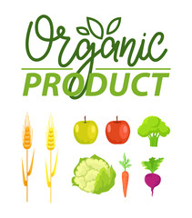 Organic product vector, natural production apples and broccoli, wheat crops and cabbage, carrots and beetroot, clean food meal, floral logotype set