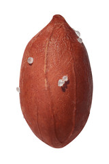 Heroic roasted peanut isolated on white background