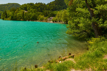 gorgeous Lake Bled in Slovenia at summer time June