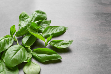 Fresh basil on grey background