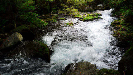 初秋の渓流の風景