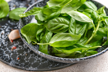 Plate with fresh basil on table, closeup