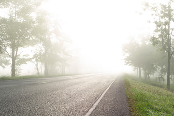 Fototapeta na wymiar Country road with fog in the morning