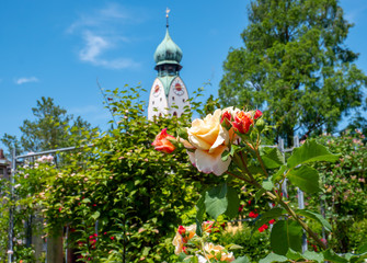Rosengarten in Rosenheim