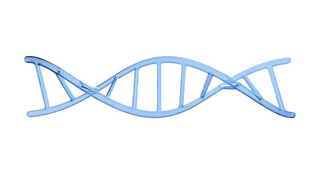 3D rendered loopable animation of rotating DNA glowing molecule on white isolated background. Genetics concept. 4k
