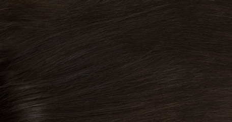 Fototapeta premium Dark natural hair on a white background