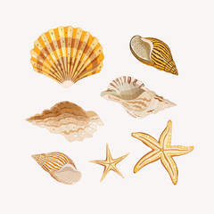 Set of seashells. Golden shells and starfishes on a light background. Vector illustration