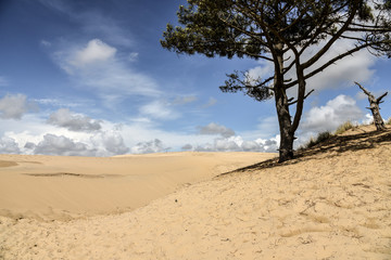  Grande Dune du Pilat an der Atlantikküste