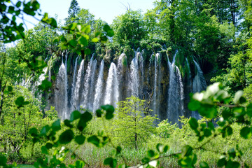 Fototapety  Wodospad Veliki Prstavac otoczony zielonymi liśćmi i gałęziami, nad Jeziorami Plitwickimi (Plitvicka Jezera), Chorwacja, w pełnym jasnym świetle.