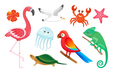 Summer symbols, exotic wild birds and animals vector. Flamingo and gull, jellyfish and crab, parrot and turtle, gecko and starfish isolated tropic species