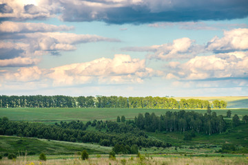 Naklejka premium View of agricultural field with white fluffy clouds in blue sky at sunny summer day