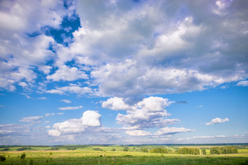 View of agricultural field with white fluffy clouds in blue sky at sunny summer day