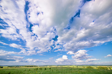 View of agricultural field with white fluffy clouds in blue sky at sunny summer day