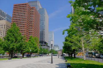 Fototapeta na wymiar modern buildings in the park