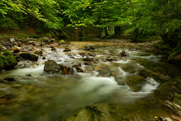 Erro river , Sorogain forest in Erro Valley, Navarre, Spain