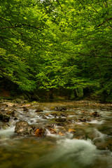 Erro river , Sorogain forest in Erro Valley, Navarre, Spain