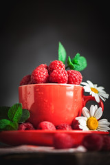 Raspberry in a red cup with chamomile and leaves on a dark background. Summer and healthy food concept. Selective focus. Background with copy space.