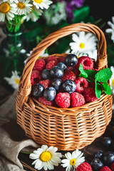 Raspberries and blueberries in a basket with chamomile and leaves on a dark background. Summer and healthy food concept. Selective focus.